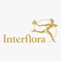 Interflora Trinitapoli